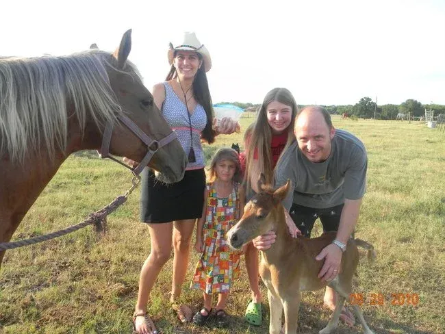 Family with two horses in a sunny field, smiling and posing outdoors.