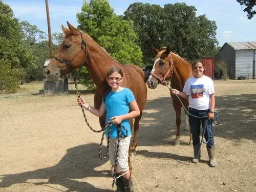 Woman standing beside two horses near a wooden fence at sunset