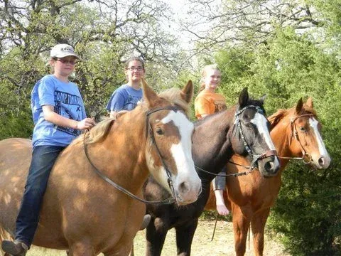 Three people riding horses outdoors under leafy trees
