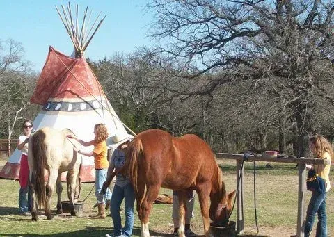 Two horses graze near a teepee in a grassy park with people standing nearby.