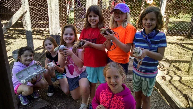 Woman handing a small animal to children outdoors near a shaded building entrance