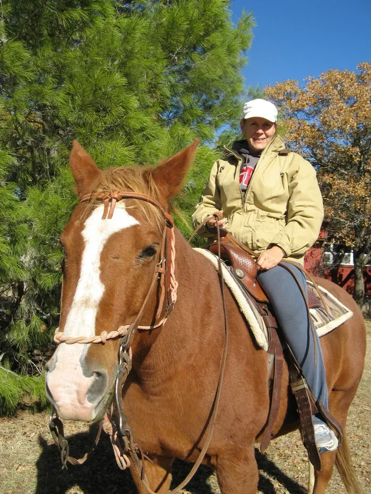 Person on a brown horse outdoors beside green trees under a blue sky