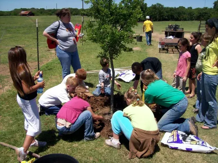 Children and adults planting a young tree in a grassy field on a sunny day