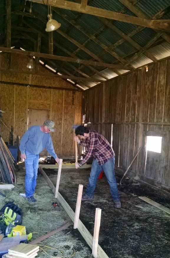 Two people laying floor boards inside a rustic wooden shed with exposed rafters