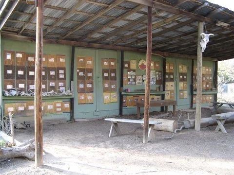 Open-air bulletin board area with benches under a corrugated metal roof.