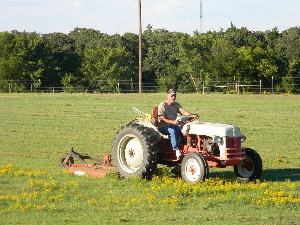 Person driving a red tractor mowing a grassy field with yellow flowers near a tree line.