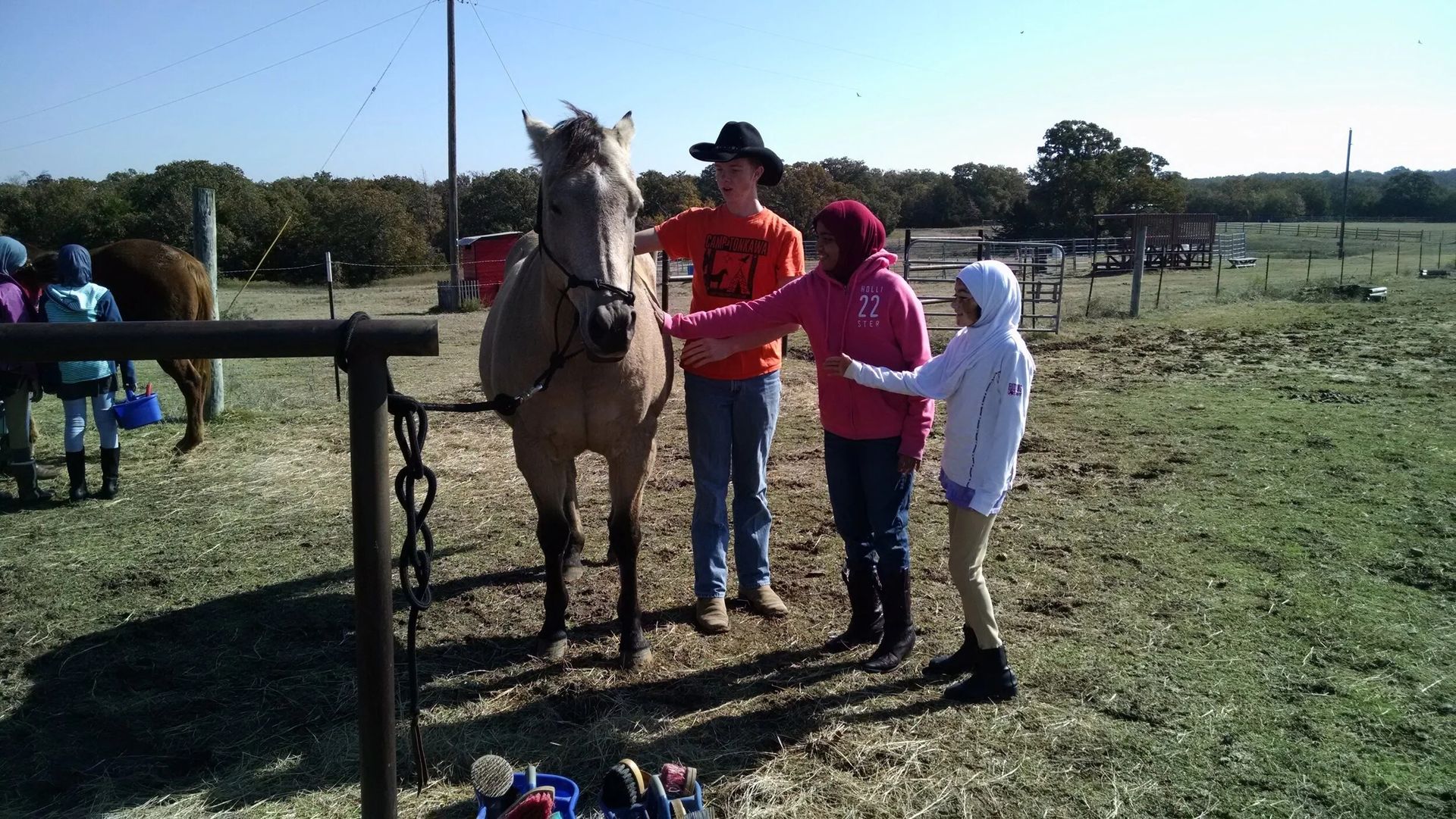 Three people pet a horse by a fence in a sunny field