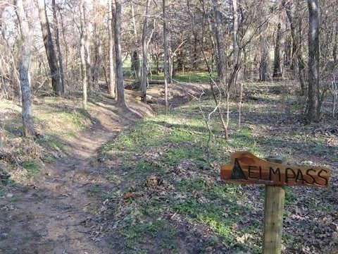 Wooded trail with a small stream and a wooden sign reading “BYPASS” in the foreground