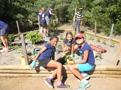 Three people sit on logs in a garden, smiling, with others working in the background.