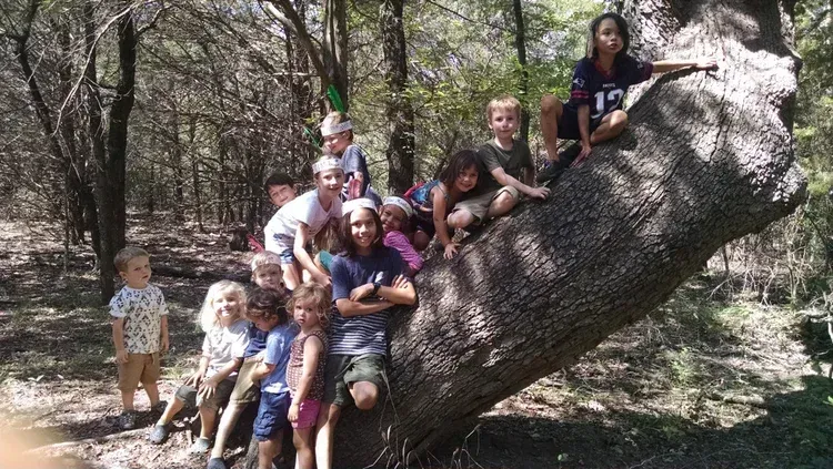 Group of children sitting and standing on a large slanted tree trunk in a wooded area