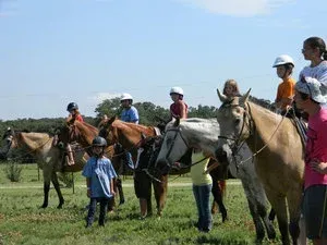 People on horseback lined up in a grassy field under a blue sky