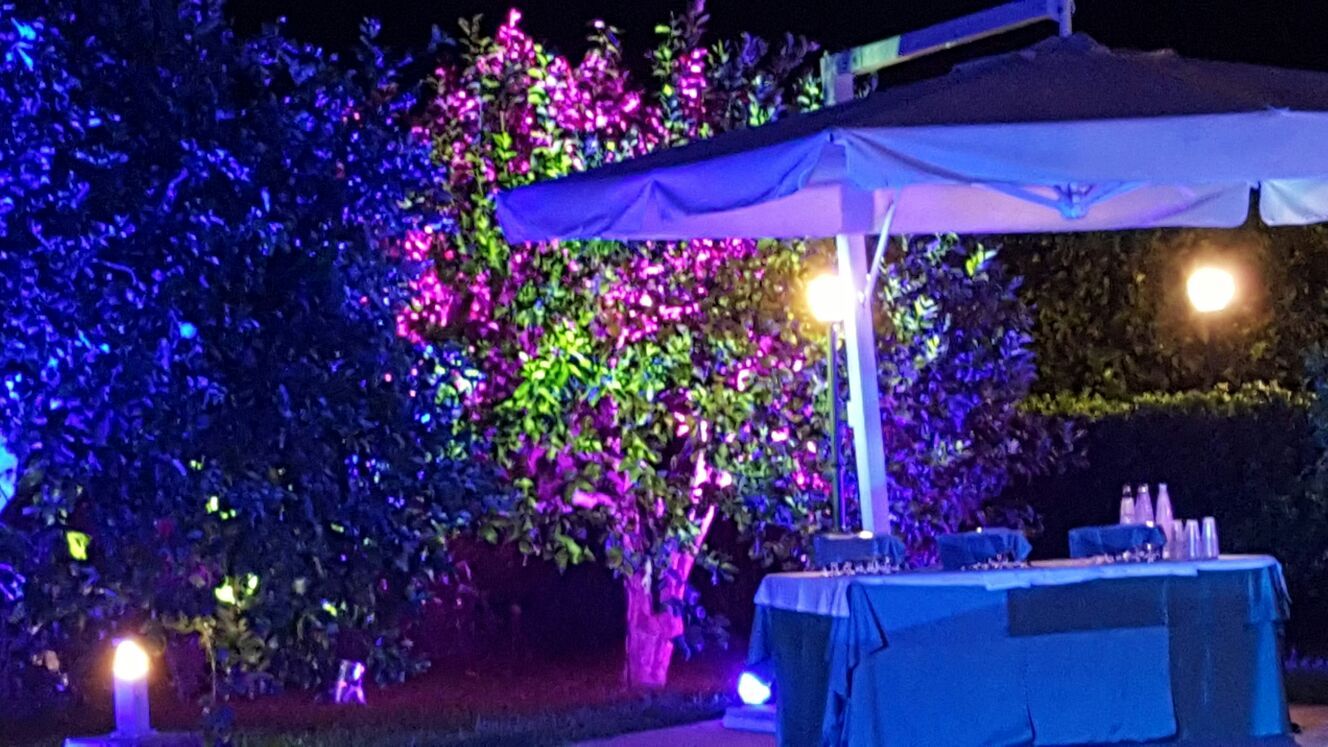Scena notturna all'aperto con alberi illuminati di blu, viola e verde. Ombrellone sopra un tavolo.