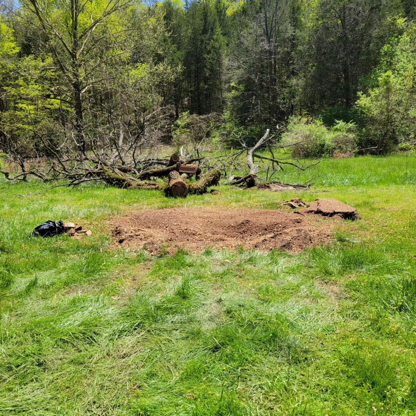 A stump in the middle of a grassy field with trees in the background.