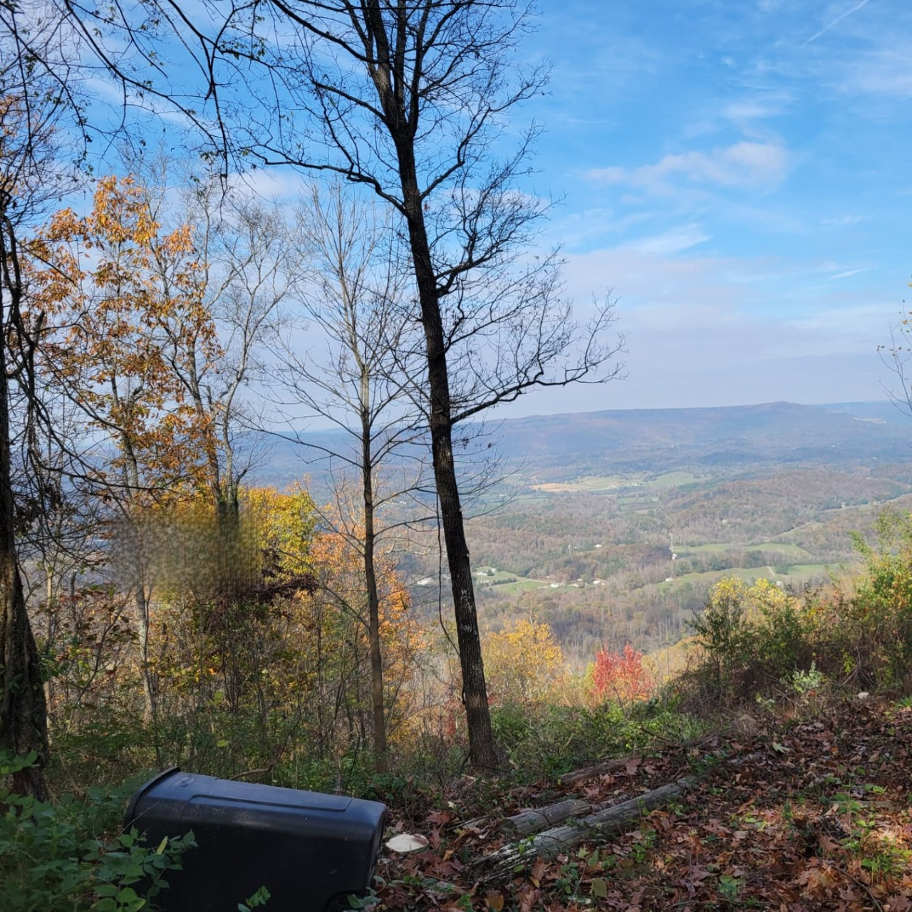 A trash can sits in the middle of a forest overlooking a valley