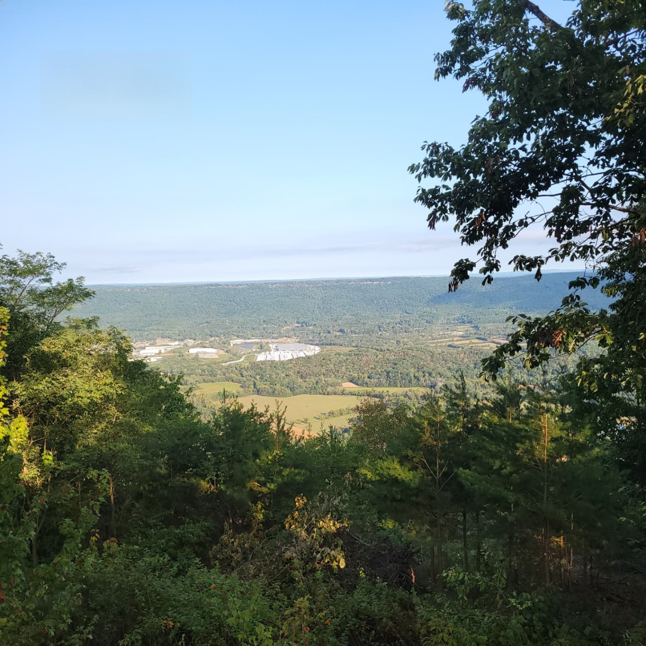 A view of a valley with trees in the foreground