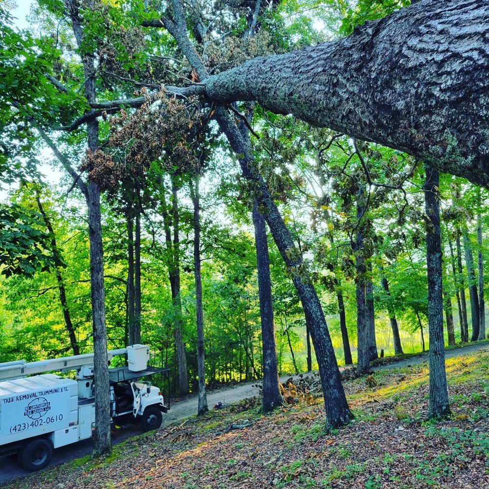A white truck is cutting a tree in the woods.