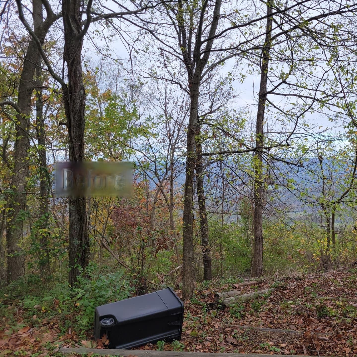 A trash can is sitting in the middle of a forest.