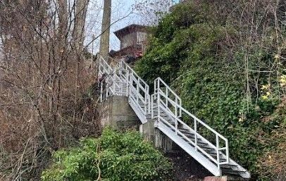 A set of stairs leading up to a house in the woods.
