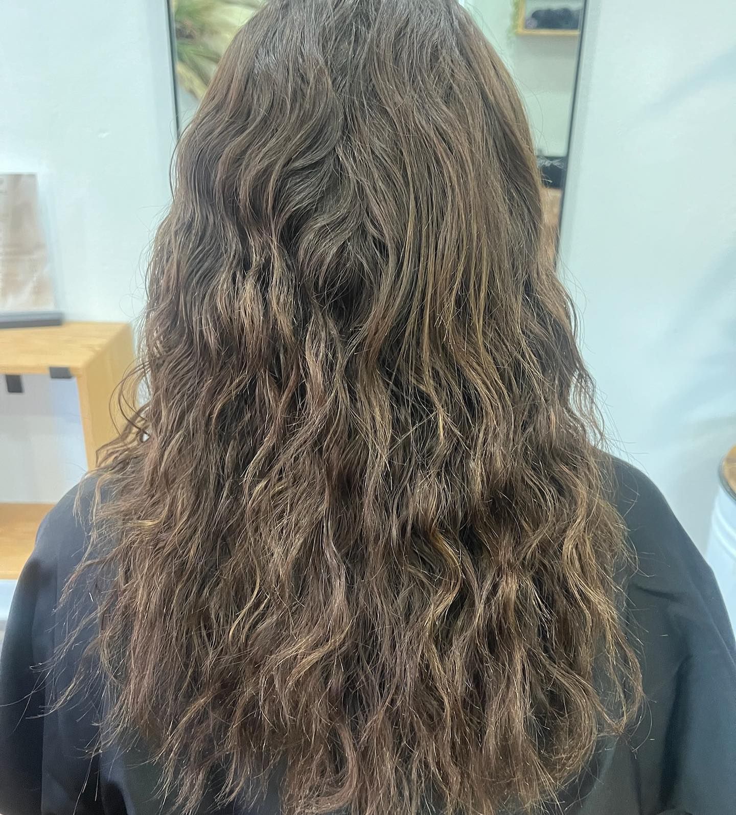 Woman with brown, wavy hair; back view in a salon setting.