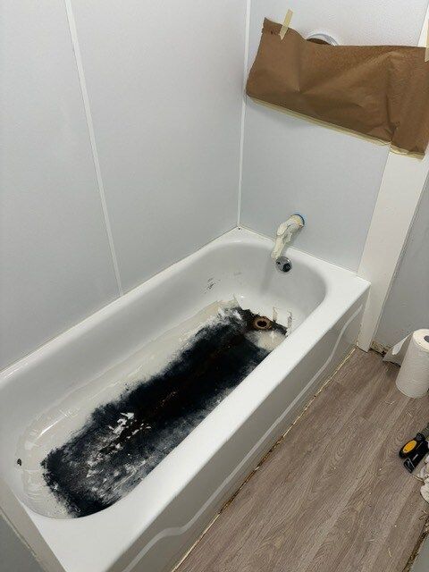 A bathtub filled with black mold in a bathroom with light gray walls and a roll of toilet paper visible.