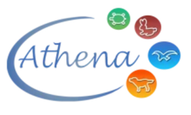Logo con la scritta 