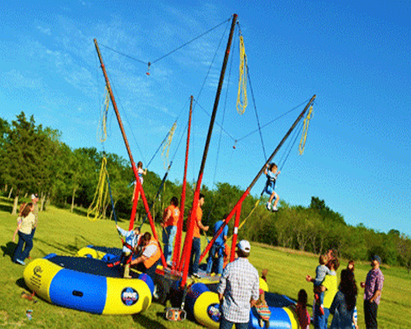 Euro Bungee Rental
