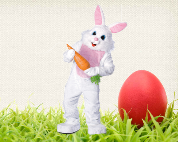 Easter Bunny Character For Hire