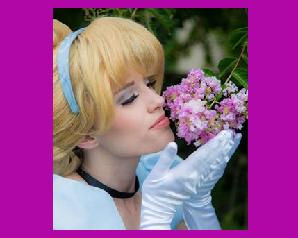 Cinderella Costume Character