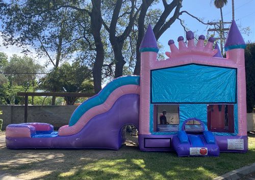 Pink Glitter Combo Bounce House