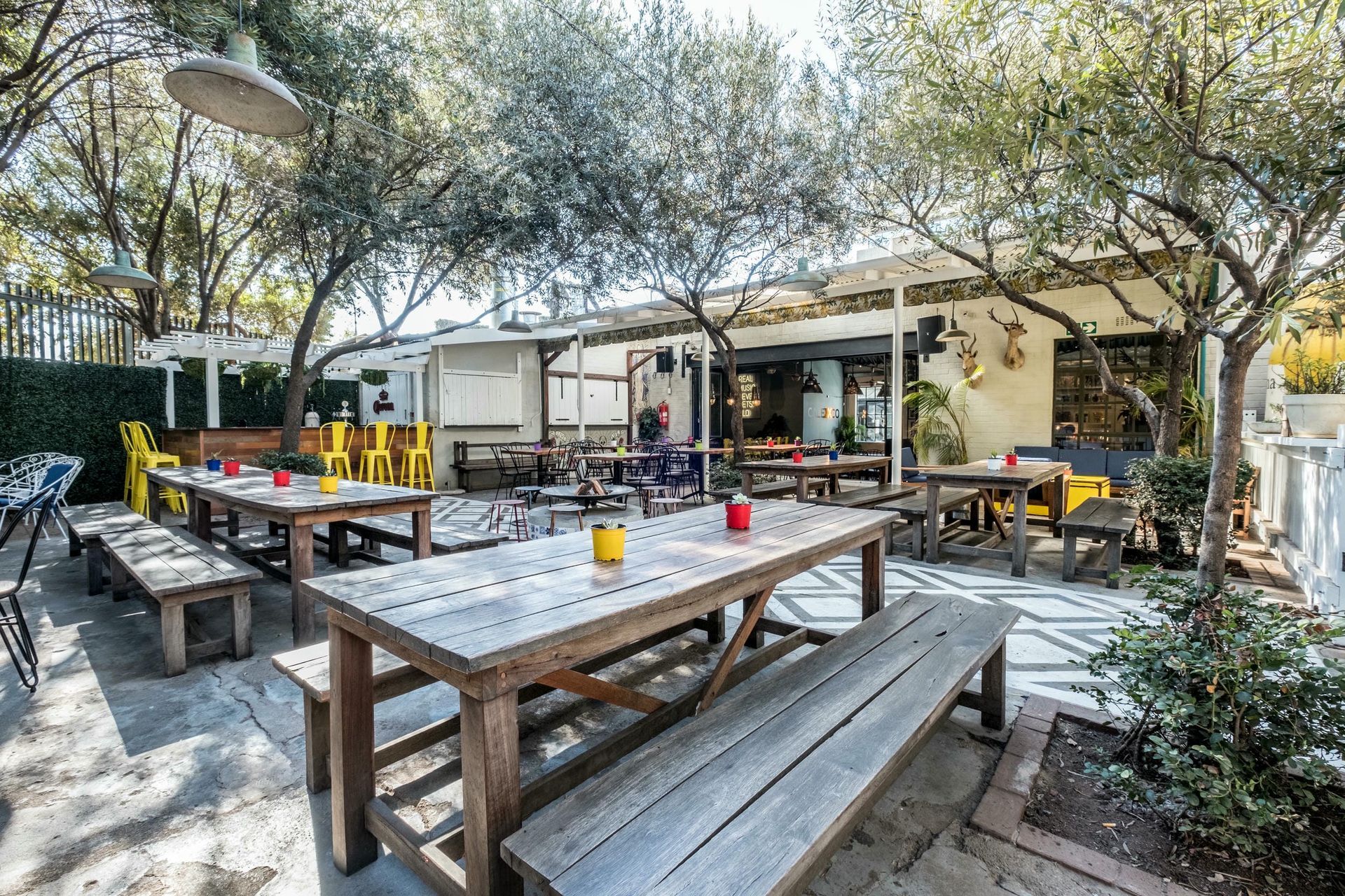 There are many tables and benches in the backyard of a restaurant.