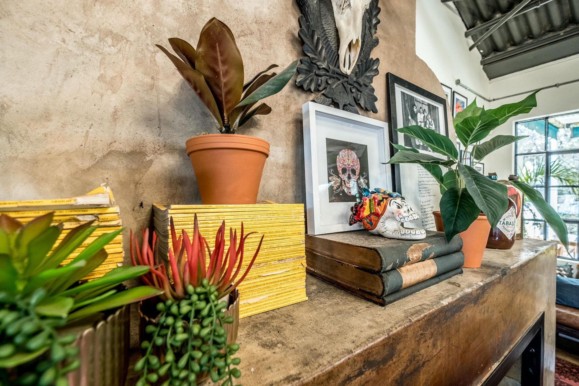 A mantle with potted plants , books , pictures and a skull on it.