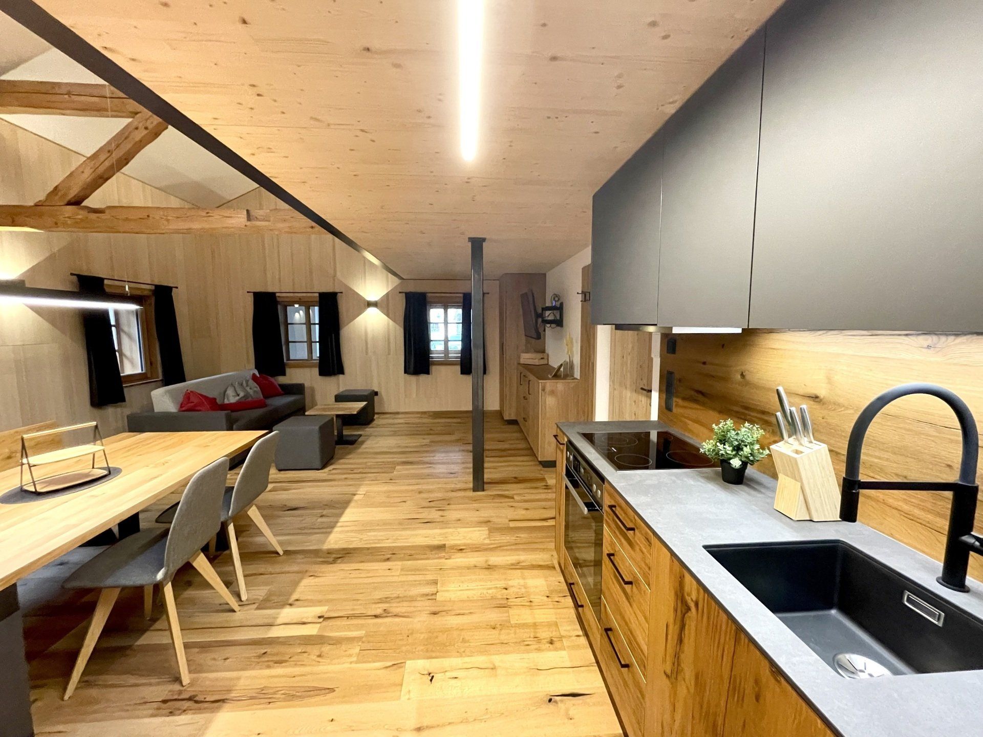 Küche und Wohnraum Appartement 2