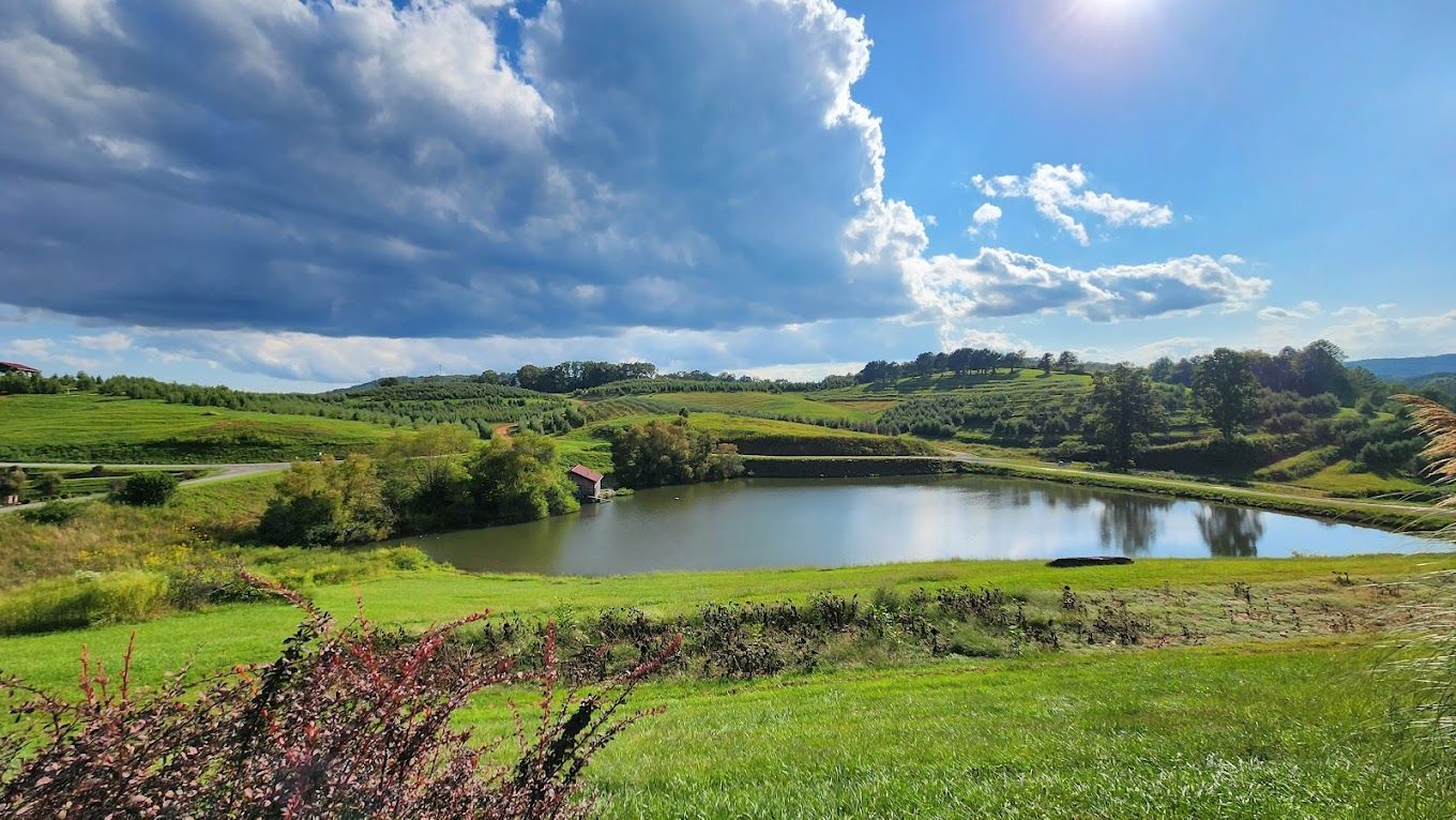 A scenic landscape with a pond, green grass, and hills under a bright blue sky with clouds.