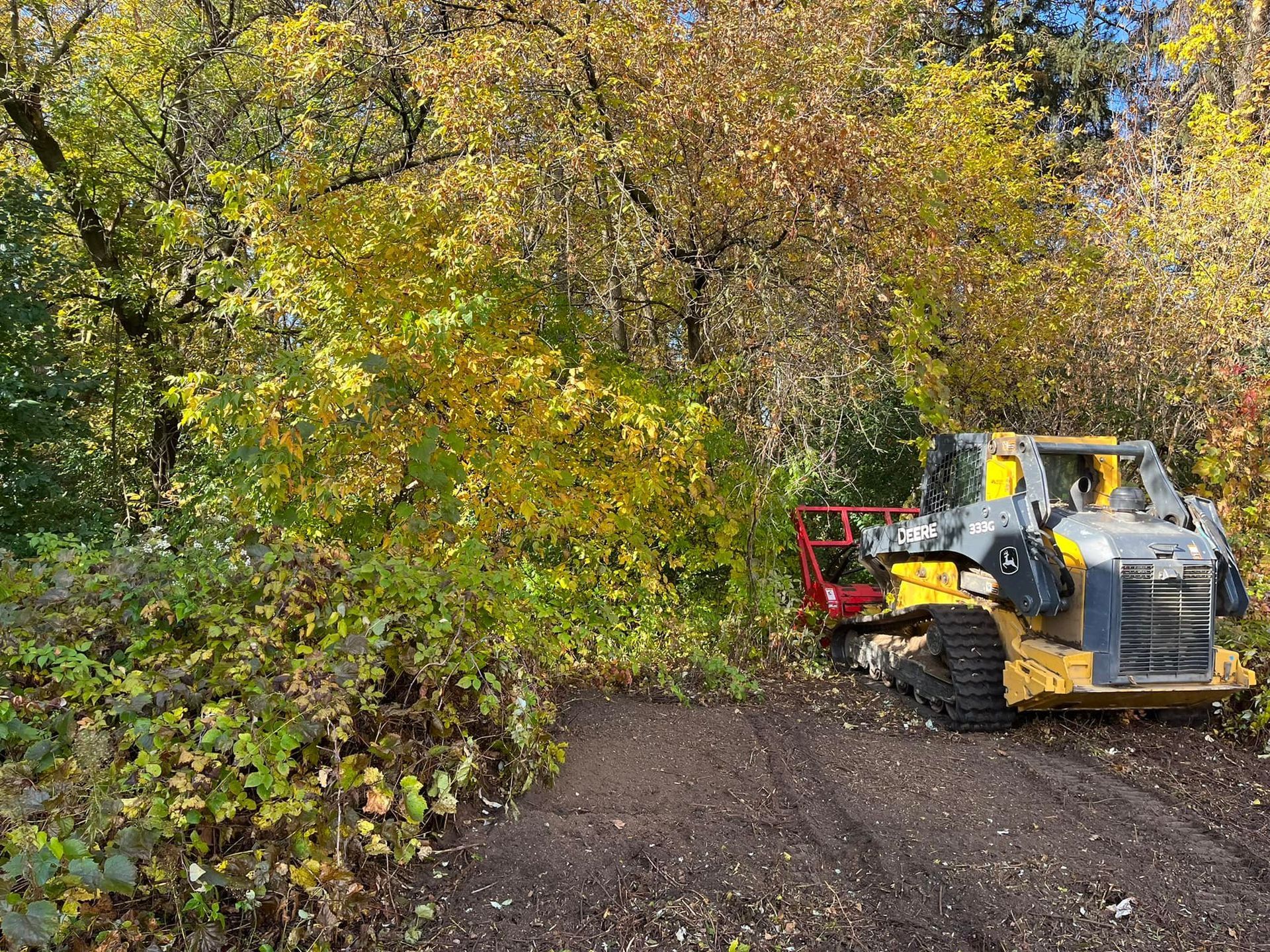 This a picture of a tractor moving  tree branches and clearing the land. 