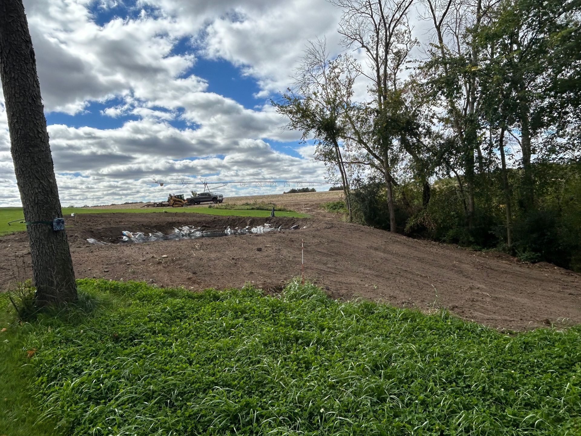 A picture of a pond in a big yard in Wisconsin. 