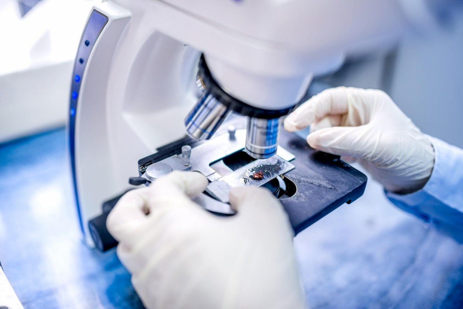 microscopio