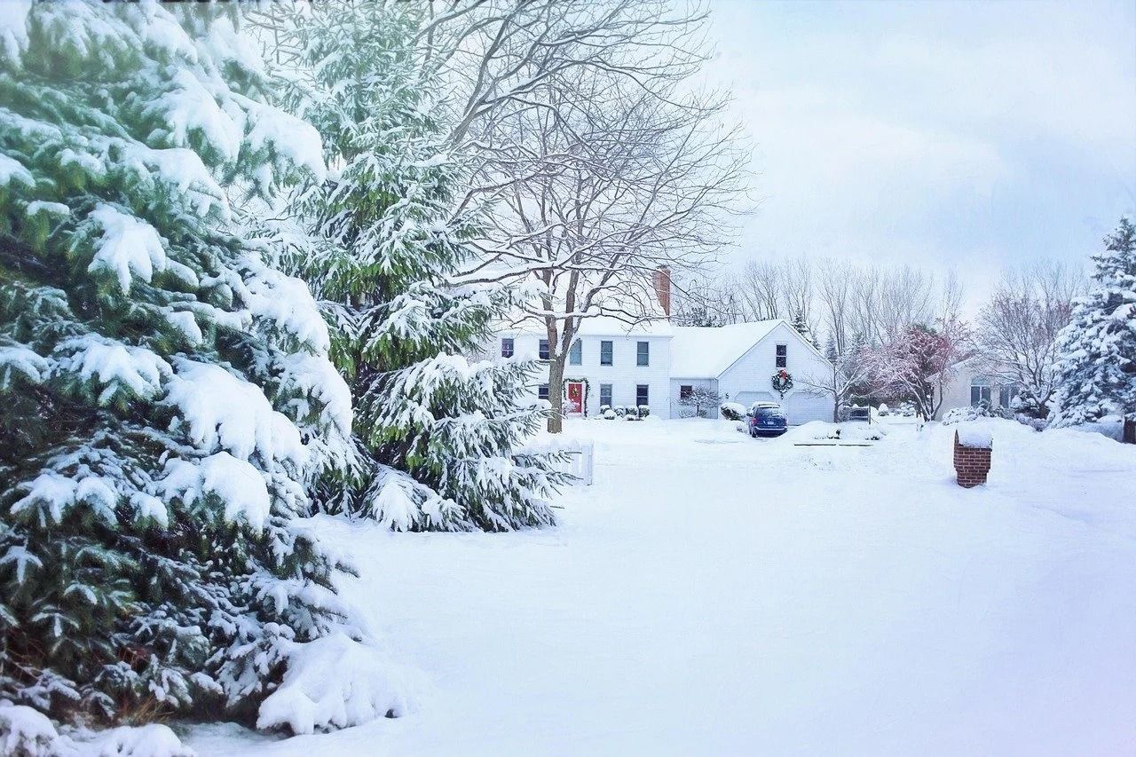 Snow-covered house and yard with trees in a winter landscape