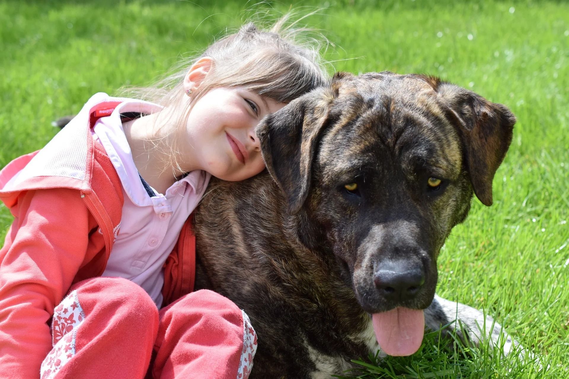 Girl resting her head on a large dog lying in green grass outdoors