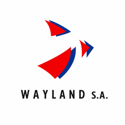 Logotipo de Wayland SA con formas abstractas rojas y azules sobre texto negro