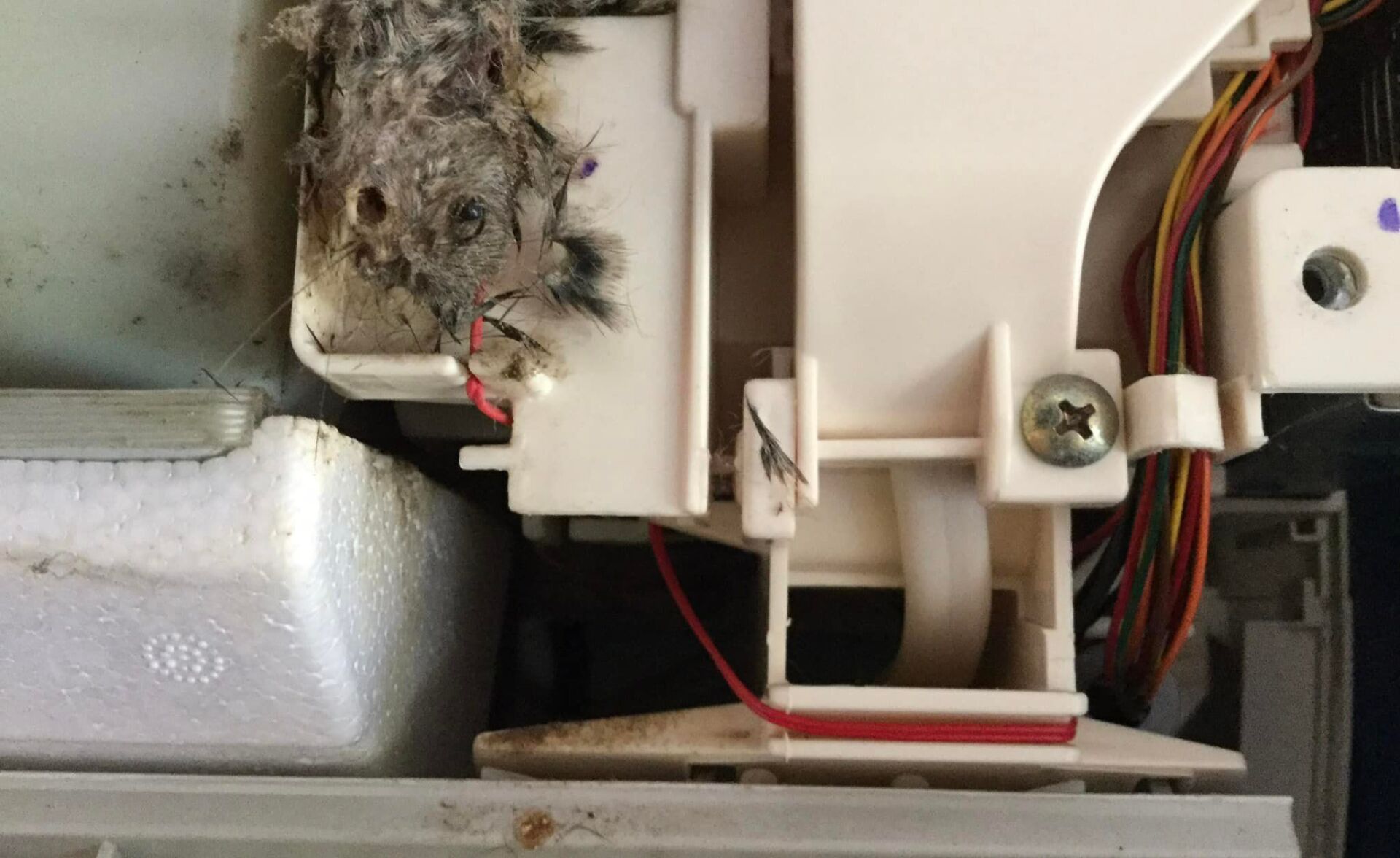 Dirty Aircon — More Clean Air In Cessnock, NSW