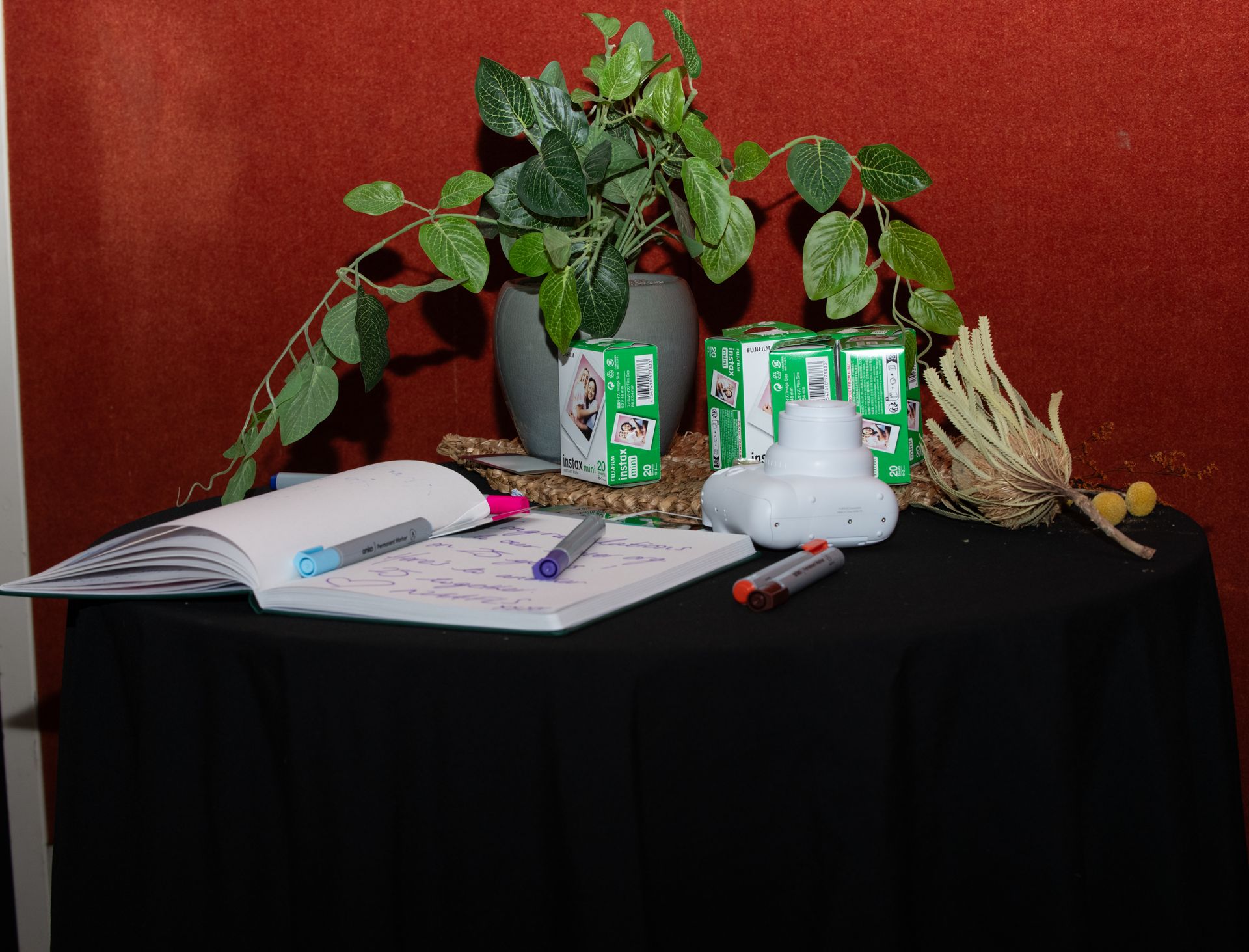 Table with plant, notebooks, markers, and boxes, against a red wall. CAAFLU