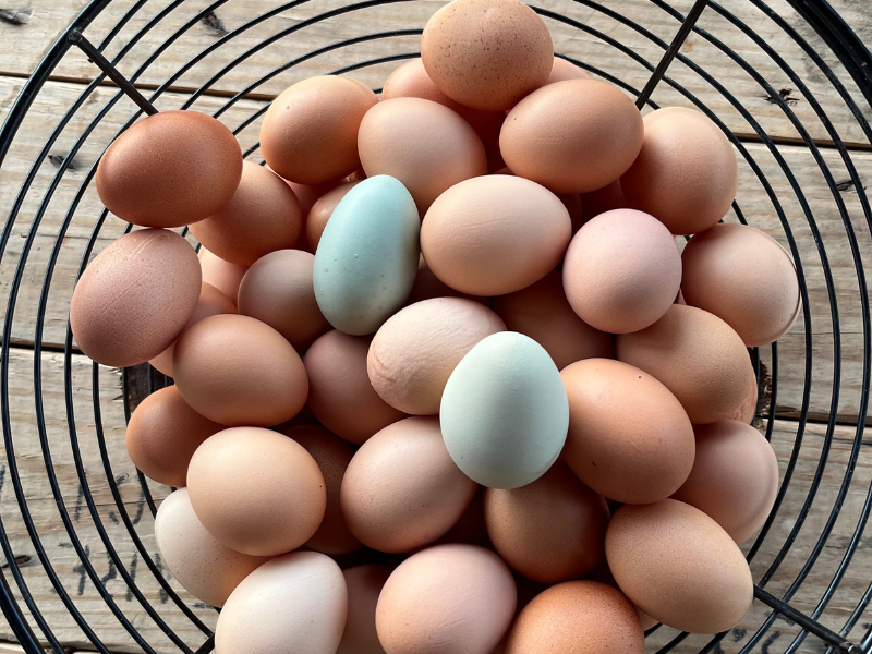 Fresh Organic Eggs