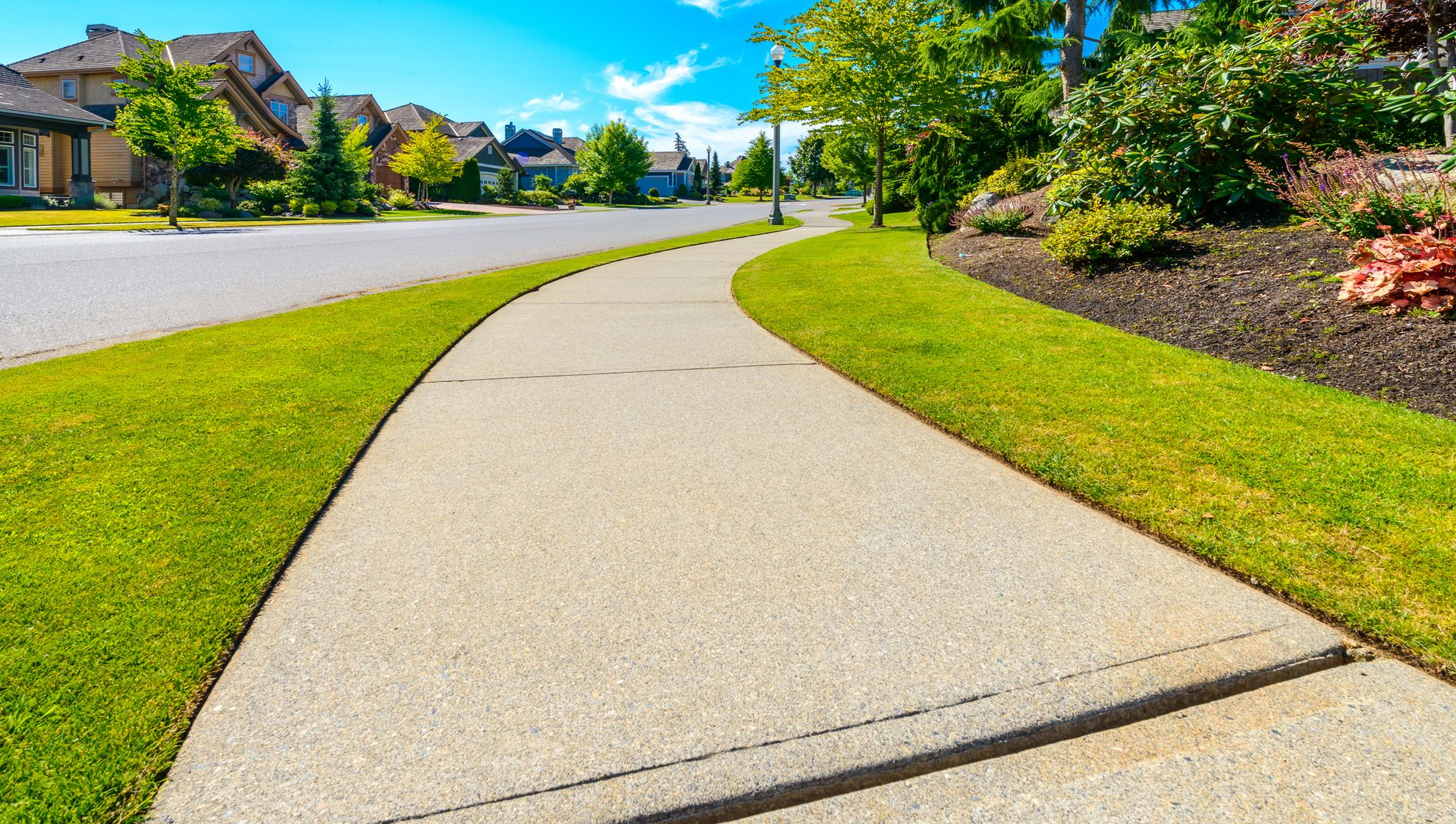 Curving suburban sidewalk beside green lawns and houses on a sunny day
