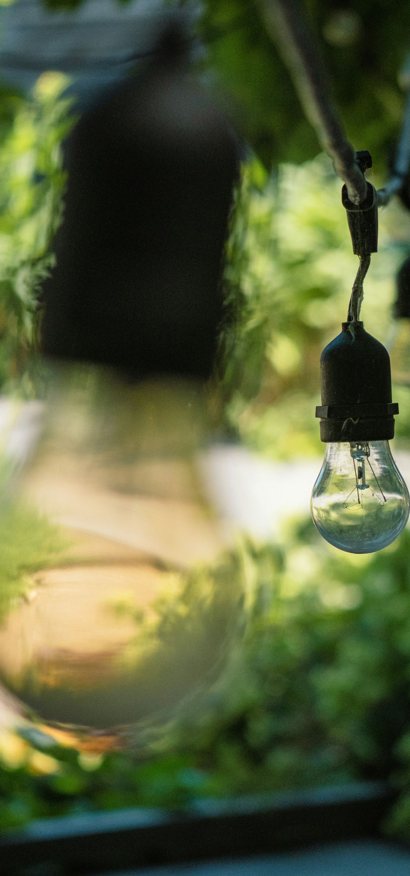 Hanging clear lightbulbs outdoors against a blurred green garden background