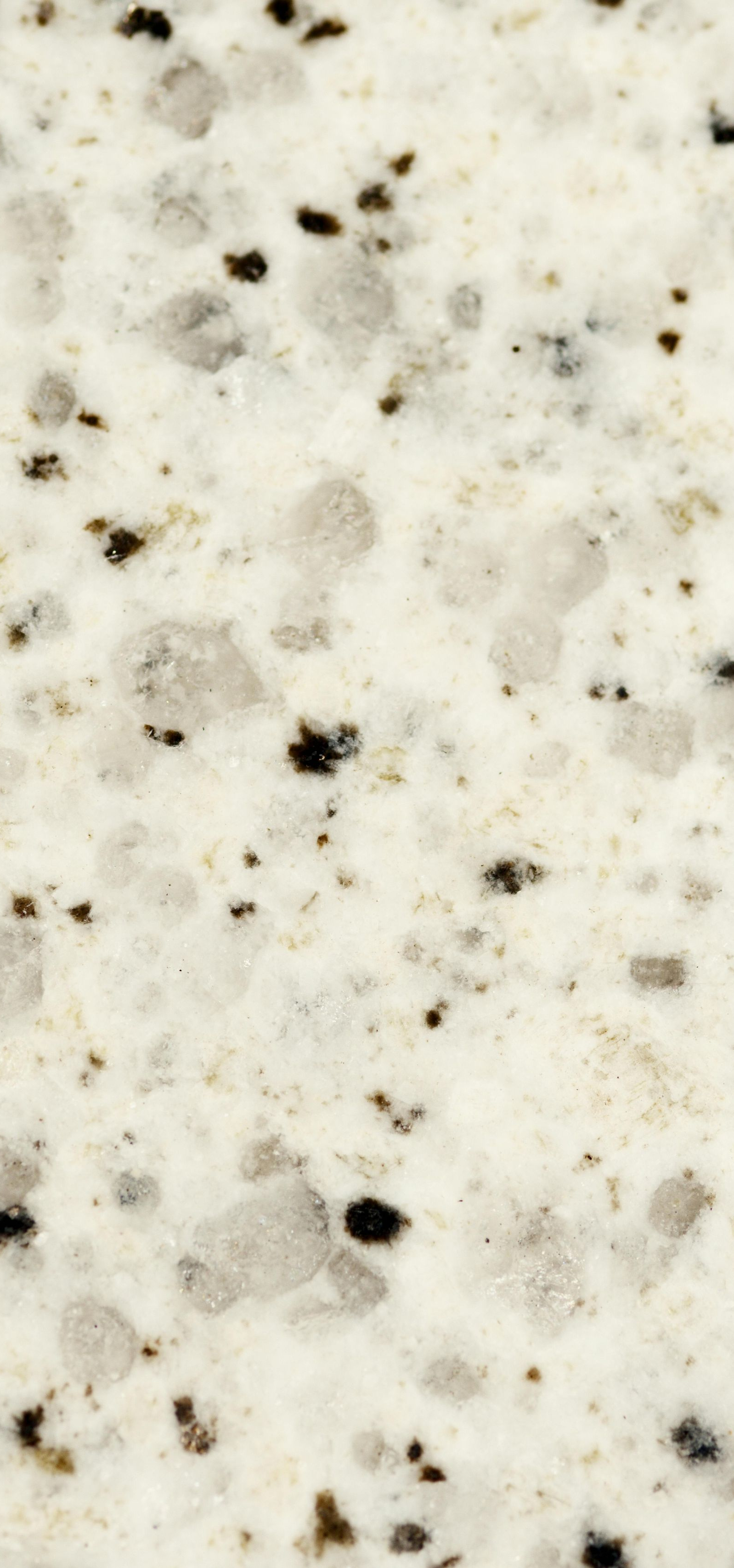 White speckled granite countertop with small black and gray flecks