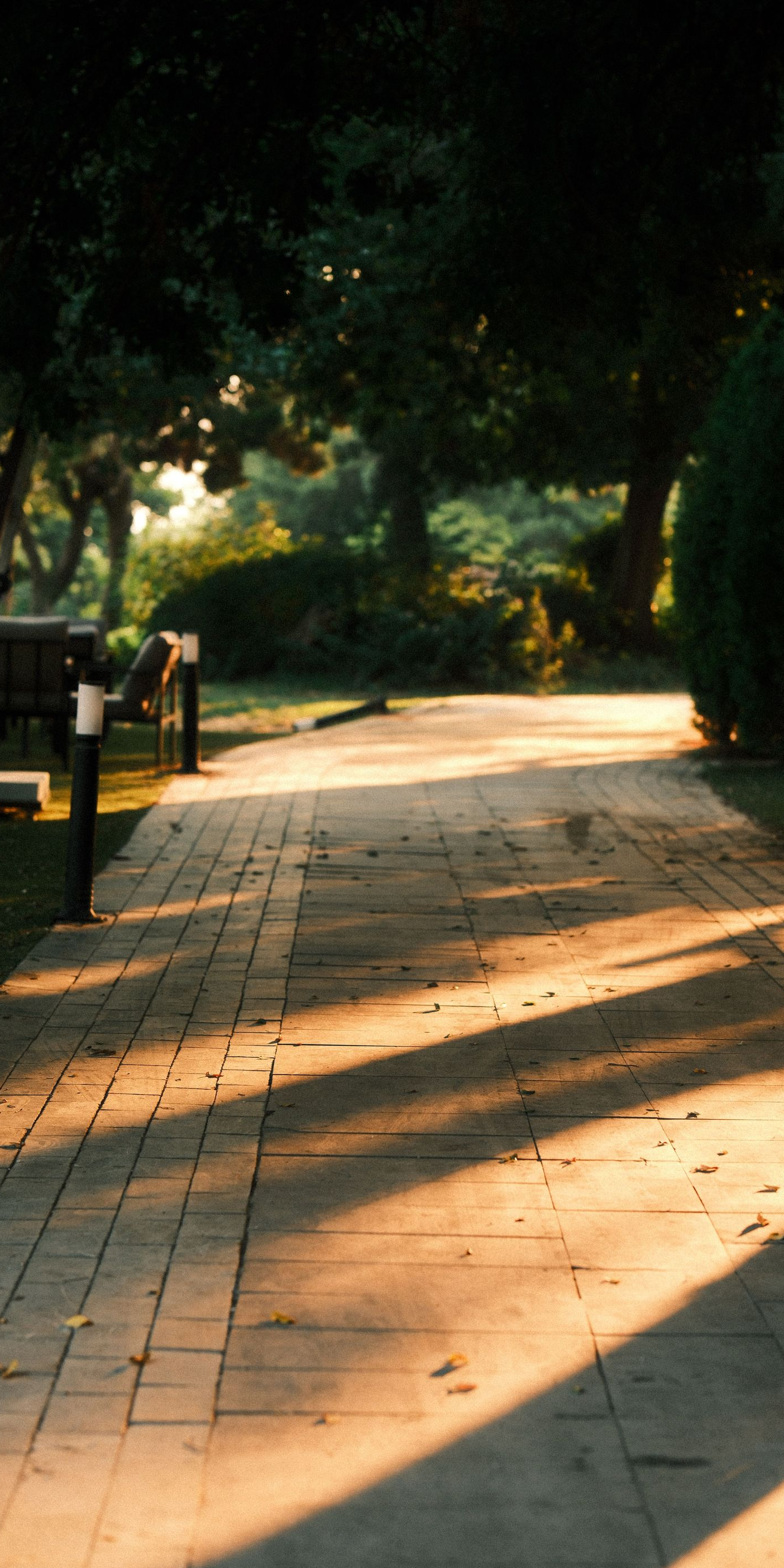 Sunlit brick pathway through trees, with long shadows and a bench on the left.