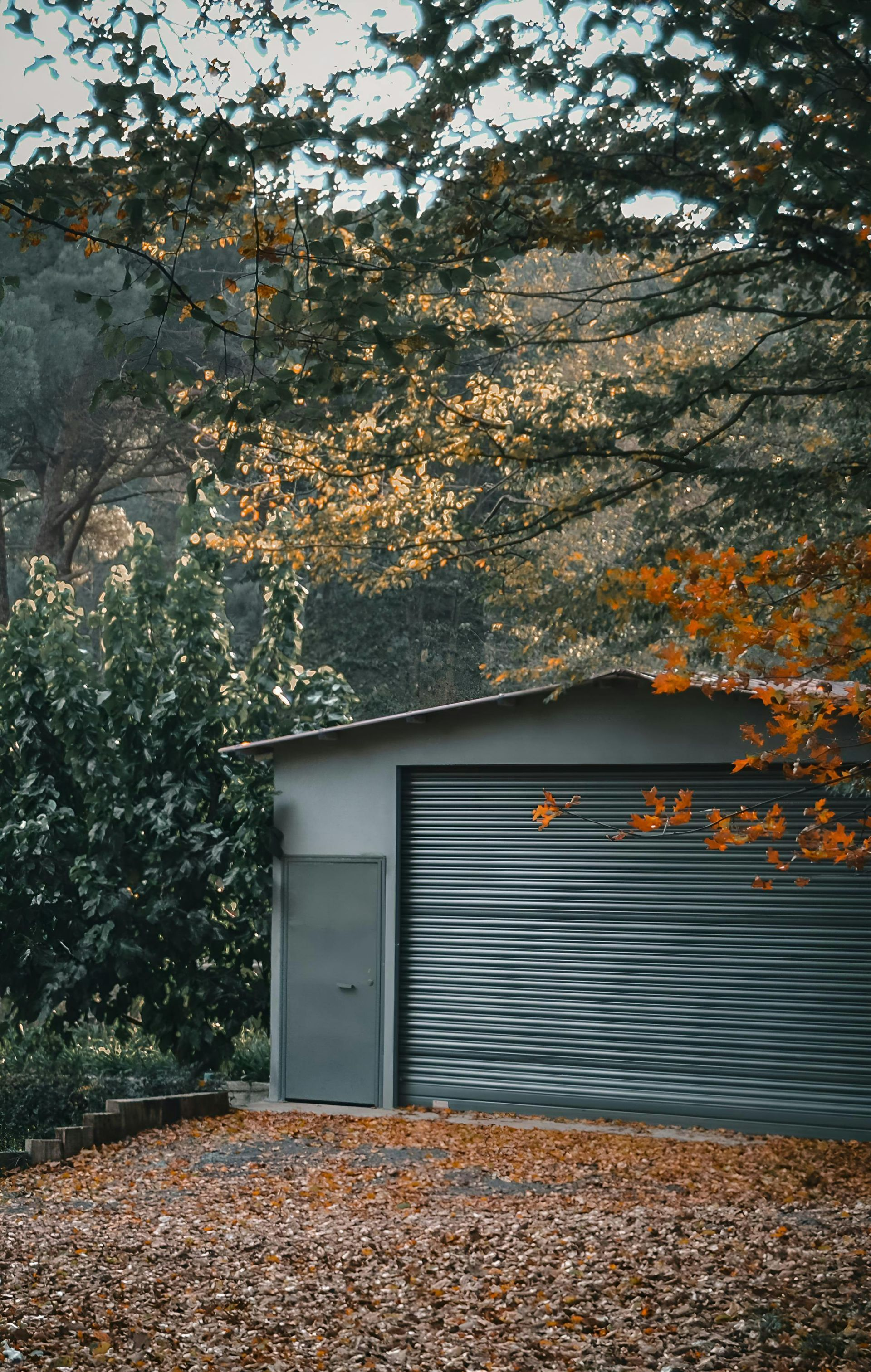 Small gray garage in a wooded yard covered with fallen autumn leaves.