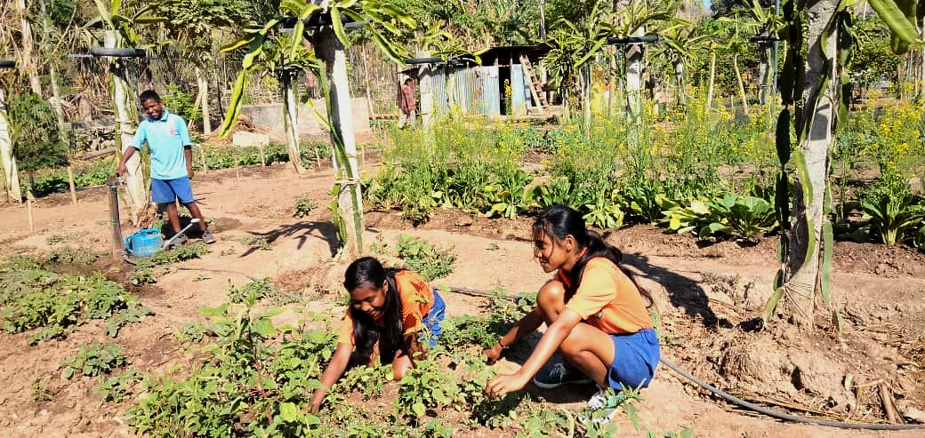 People tending a garden with plants. One is watering plants, two are tending plants in dirt.
