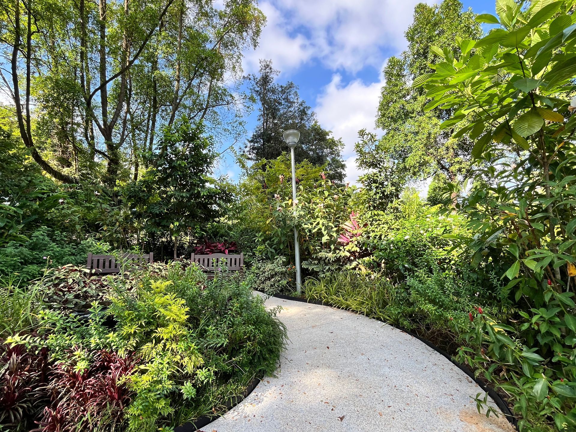 Pathway through a lush garden with benches, trees, and a light pole.