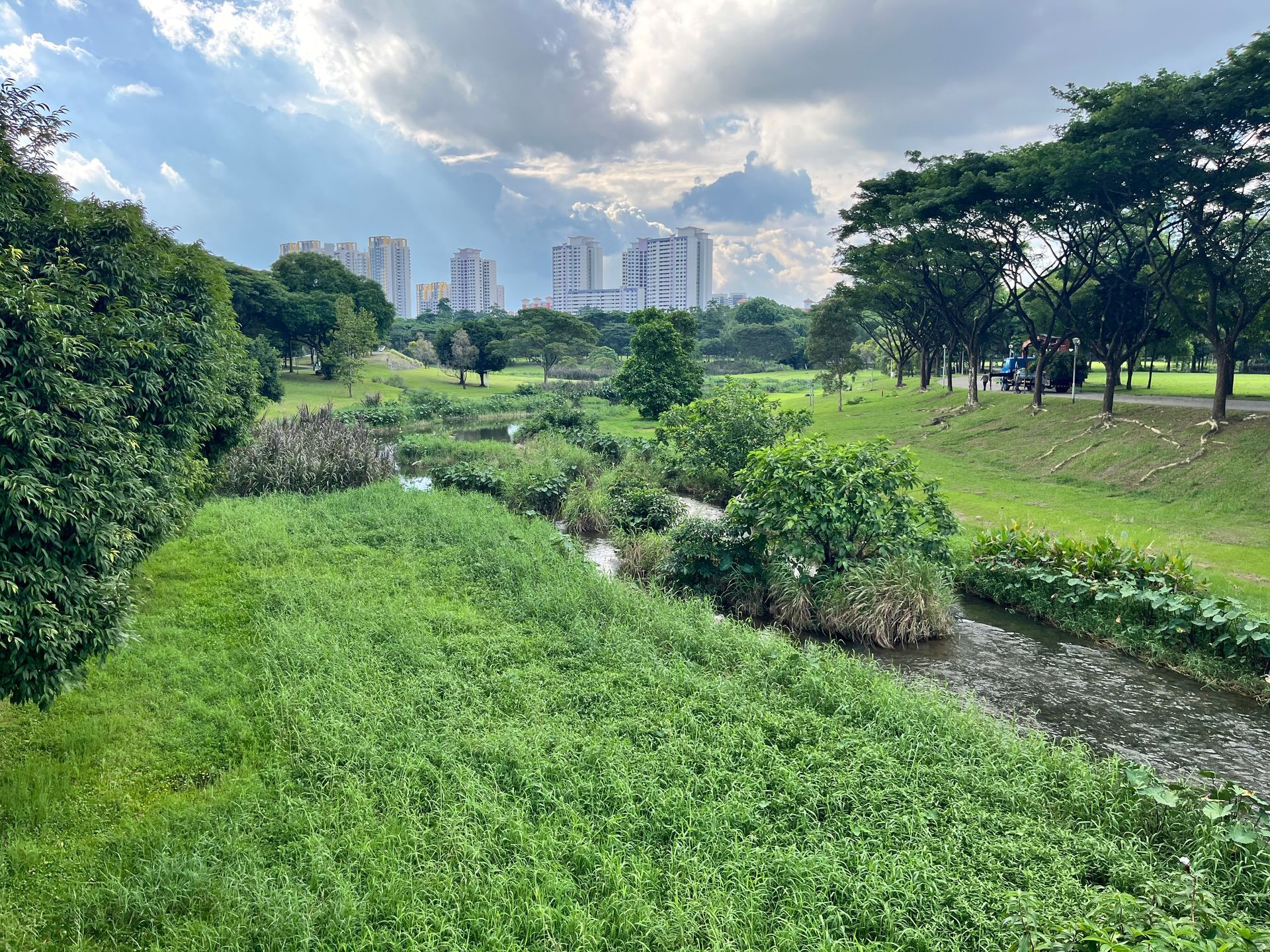 A grassy park with a stream, trees, and buildings under a cloudy sky.